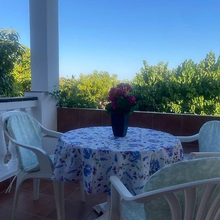 Finca Bocacha Málaga Eksteriør bilde